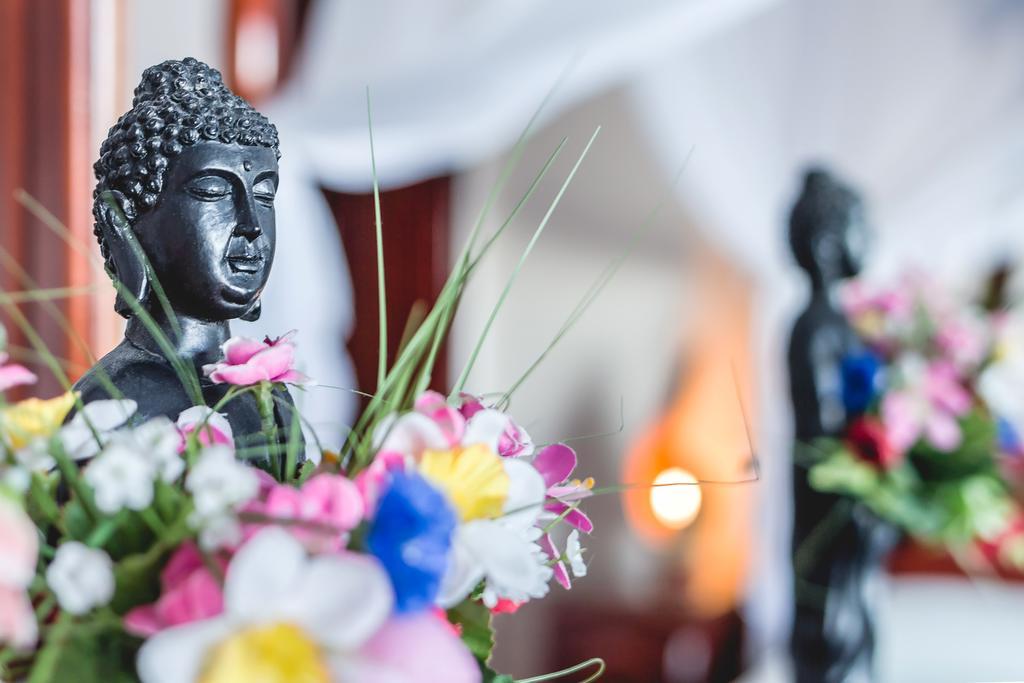 Villa Roses Apartments & Wellness อิตชิชี ภายนอก รูปภาพ