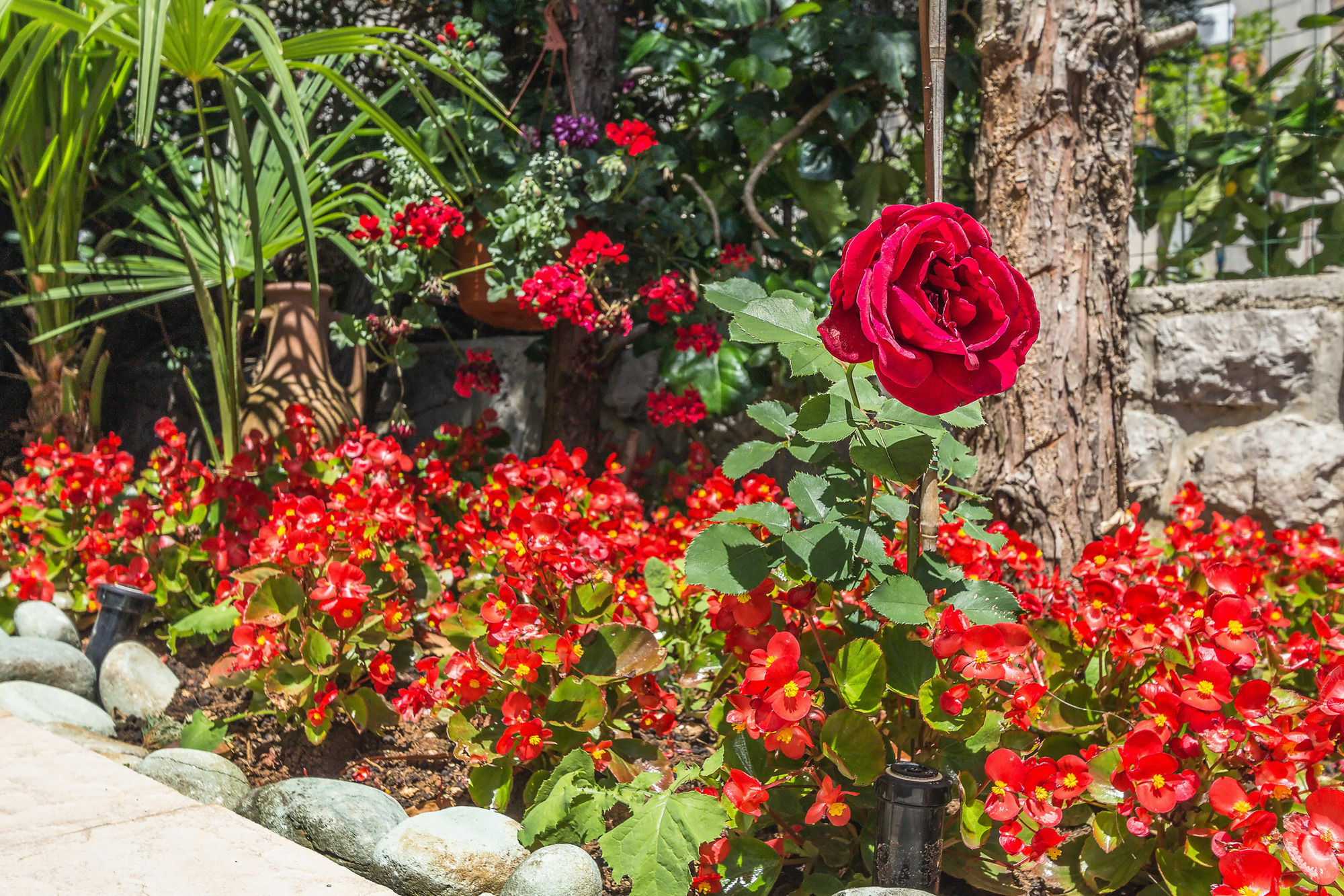 Villa Roses Apartments & Wellness อิตชิชี ภายนอก รูปภาพ